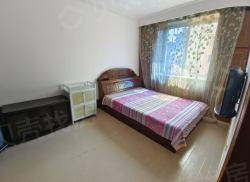 整租·电业小区(振兴市) 1室1厅 南_电业小区(振兴市)租房