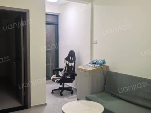 整租·中江国际花城 1室1厅 南