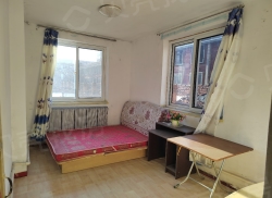 整租·振八街 2室1厅 南_振八街租房