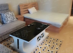 整租·森林半岛 1室1厅 南_森林半岛租房