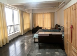 整租·绿地21城 1室1厅 南/北_绿地21城租房