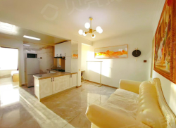 整租·江南一号 1室1厅 南_江南一号租房