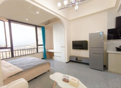 整租·荟金亚太经贸中心 1室0厅 南_荟金亚太经贸中心租房