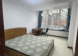 整租·红房新区 2室1厅 南_红房新区租房