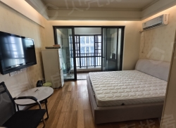 整租·大汉·希尔顿国际 1室1厅 南_大汉·希尔顿国际租房