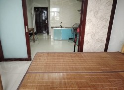 整租·雷家安置小区 1室1厅 南_雷家安置小区租房