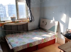 整租·新建北区 2室1厅 南_新建北区租房