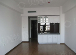 整租·曼哈顿国际公寓 1室0厅 南_曼哈顿国际公寓租房