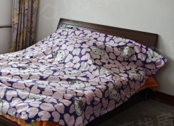 整租·石油东山社区 2室1厅 南/北_石油东山社区租房