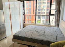 整租·东涫首座 1室0厅 南_东涫首座租房