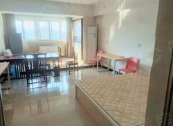 整租·大唐凤凰府 1室1厅 南_大唐凤凰府租房