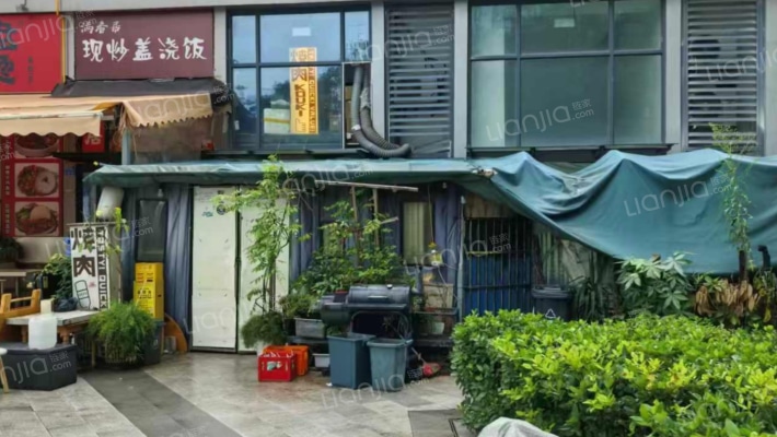 成华奥园广场三期二手房实景图