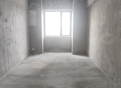 整租·万达CBD中心 1室0厅 东南_万达CBD中心租房