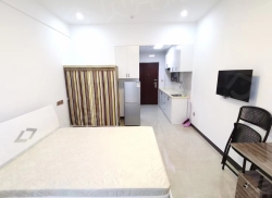 整租·奥体公馆 1室1厅 北_奥体公馆租房