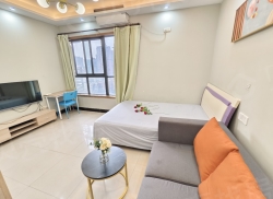 整租·艾佳天泰 1室0厅 东南_艾佳天泰租房