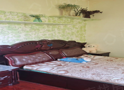 整租·电业局大院 2室1厅 东南/南_电业局大院租房