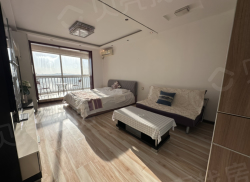 整租·金海湾森林逸城 1室1厅 南_金海湾森林逸城租房