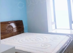 合租·欣盛丰森林海 3居室 南卧_欣盛丰森林海租房