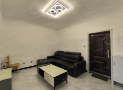 整租·西科海德花園 1室1厅 南_西科海德花園租房