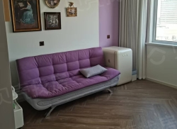 整租·阅彩城 1室1厅 西北_阅彩城租房