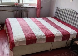 整租·菜市小区 1室1厅 南_菜市小区租房