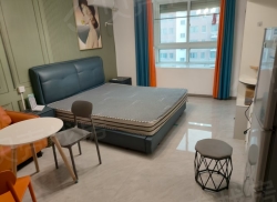 整租·嘉荟新城东区 1室0厅 南_嘉荟新城东区租房