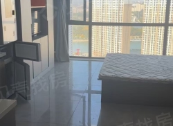 整租·大地·克拉铭座 1室0厅 南/北_大地·克拉铭座租房