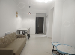 整租·七一嘉苑B区 1室1厅 南_七一嘉苑B区租房