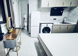 整租·绿地商业生活广场 1室1厅 南_绿地商业生活广场租房