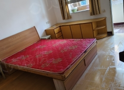 整租·湖南路20号 3室1厅 南_湖南路20号租房