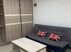 整租·柏利金公寓 1室1厅 南_柏利金公寓租房