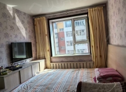 整租·柴南小区 1室1厅 南_柴南小区租房