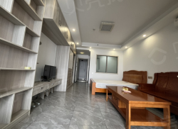 整租·新天地 1室1厅 南_新天地租房