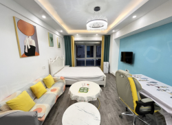 整租·金融π公寓 1室1厅 南_金融π公寓租房