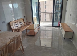 整租·源昌杨子芯城 3室1厅 南_源昌杨子芯城租房