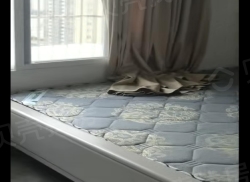 整租·富苑小区 1室0厅 南_富苑小区租房