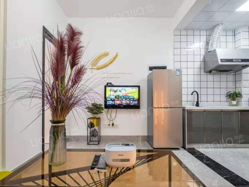 整租·大塘郡府 1室1厅 南