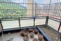 兰乔圣菲西区 3室2厅 南