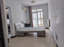 整租·龙城新居 1室1厅 东南_龙城新居租房