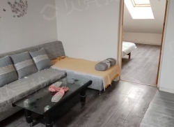 整租·黄家夼 1室1厅 南/北_黄家夼租房