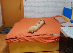 整租·农行家属楼 2室1厅 南_农行家属楼租房