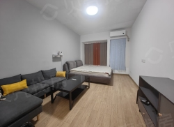 整租·时代花城 1室1厅 南_时代花城租房