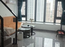 整租·万达广场 2室1厅 东南_万达广场租房