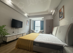 整租·佳乐金街.时光里 1室0厅 南_佳乐金街.时光里租房