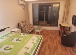 整租·阳光国际公寓二期 1室1厅 南_阳光国际公寓二期租房