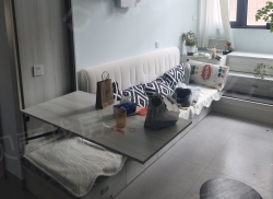 整租·王府广场 2室1厅 南/北_王府广场租房