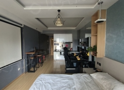 整租·阅彩城 1室1厅 西/东北_阅彩城租房