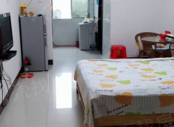 整租·银晖公寓 1室1厅 南_银晖公寓租房