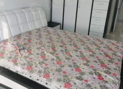 整租·西顺家园 1室1厅 南/北_西顺家园租房