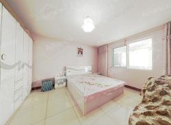 整租·金城夏桥百货批发市场 3室2厅 南/北_金城夏桥百货批发市场租房